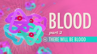 Blood, Part 2 - There Will Be Blood: Crash Course A&P #30