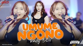 Download lagu Rindy BOH - Umume Ngono ( Live Music) Yen Urip Susah Ojo Nggoleki Dulur mp3 Download lagu Rindy BOH - Umume Ngono ( Live Music) Yen Urip Susah Ojo Nggoleki Dulur mp3