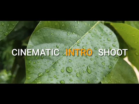 Nature Intro Shoot | Cinematic Video | 2024 #cinematic #nature #video #2024