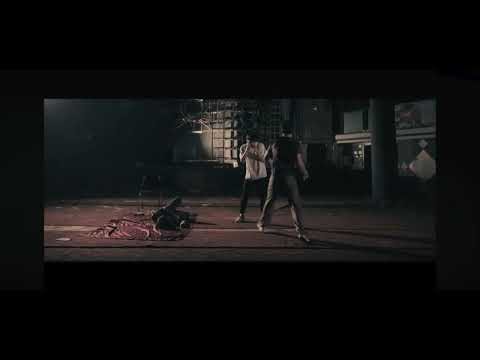 비디오 14