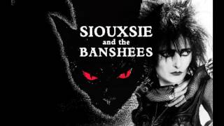 Siouxsie &amp; The Banshees - Sin in my heart