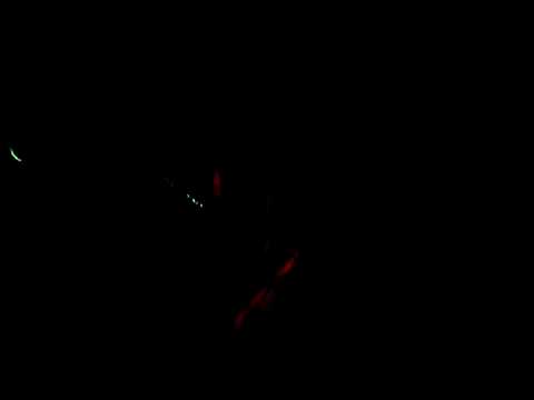 Suldubuldu @ Werpstas virus closing party