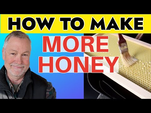 , title : 'Beekeeping SECRET To Making A Lot More Honey In 2023'