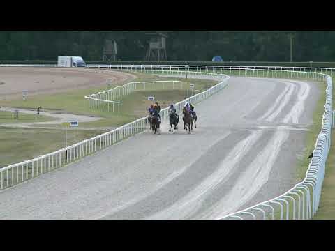 2021.07.04. 10. futam - MEZŐHEGYESI DÍJ (II.kat.) (szintetikus pálya)