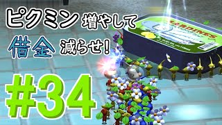 【ピクミン2】ピクミン増やして借金減らせ！# 34