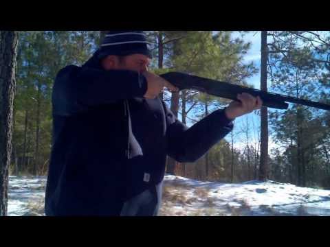 CHARLES DALY 601 Semi-Automatic Shotgun FIRST SHOT Review