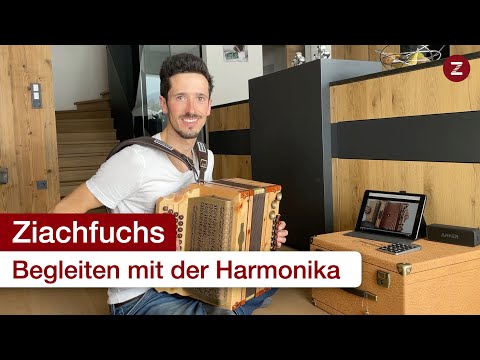 Wie lerne ich das Begleiten auf der Steirischen Harmonika? Tipps und Tricks 👌🏻☺️🎶