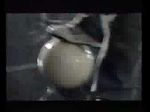 download lagu mp3 mp4 Lazyitis, download lagu Lazyitis gratis, unduh video klip Download Lazyitis Mp3 dan Mp4 Viral Gratis