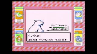 【ポケットモンスター赤】カンナ戦