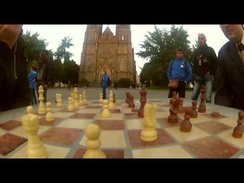 SVOBODNI.cz - Dáme Šach-Mat všem nepravostem na radnici!