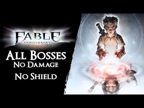 Fable: Anniversary - All Bosses on Heroic【No Damage & Physical Shield】