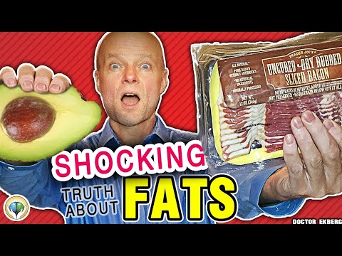 , title : 'The Shocking TRUTH About Fats'