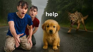 We RESCUED a Puppy From a COYOTE ATTACK!