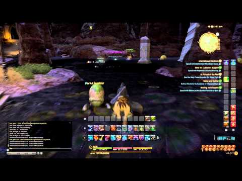 Final Fantasy XIV Black Mage Level 40 Quest: "International Relations"
