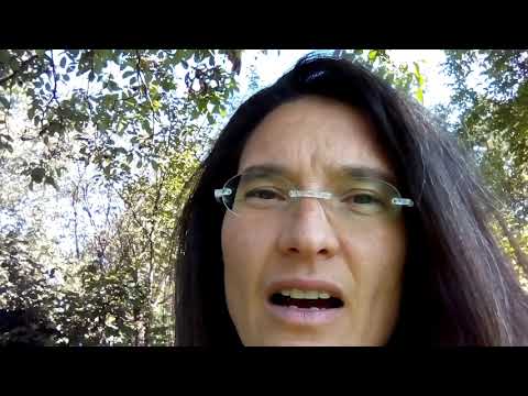 Julia Gruber: "Der eigene Weg"