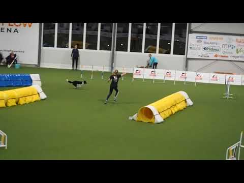 Agility National Championship 2021 Jumping Ind. - Judit & Ory, 3rd.place. Judge: Jocke Tangfelt