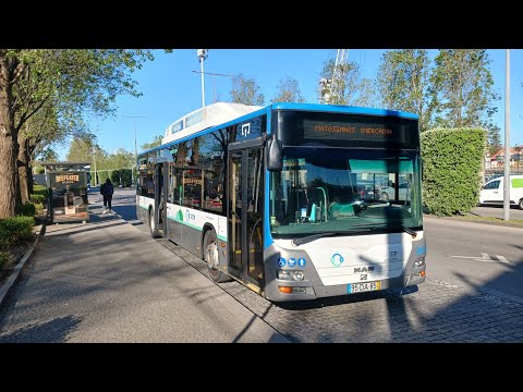 3238 STCP MAN Caetano City Gold NL310F  sound loud voith