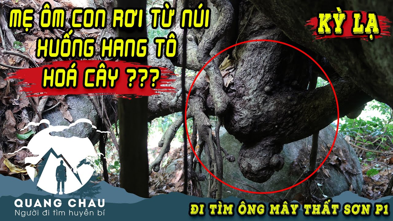Khám phá Hang "Mẹ Bồng Con" Độc Nhất Núi Tô | Hang Động Người Hoá Cây