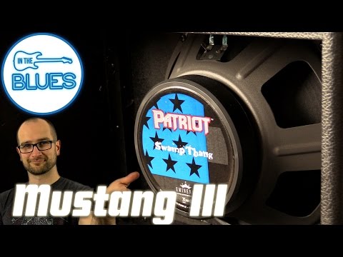 Fender Mustang III with Enimence Swamp Thang