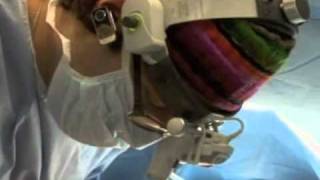 Rady Rahban, MD
