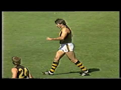 1986 SANFL ROUND 1 GLENELG v NORWOOD 1st Half VHS