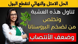 طبيب مسالك يكشف: علاج تقطع البول عند كبار السن.. و 7 أطعمة سحرية تنهي المعاناة!