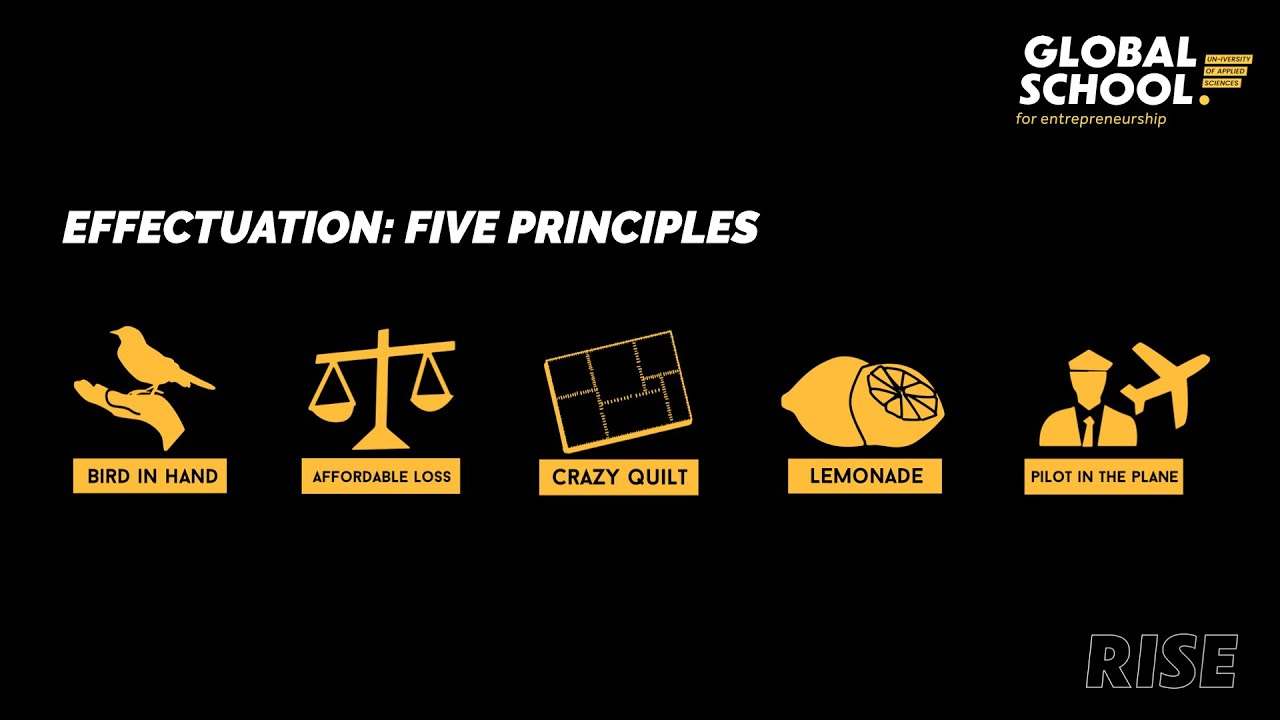 GS4E Knowledge clip: Effectuation principles