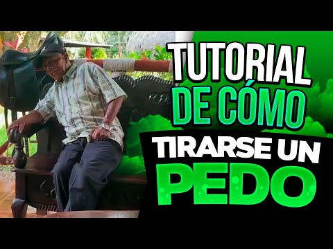 Mechito and the P3dos | #MechitoAconseja