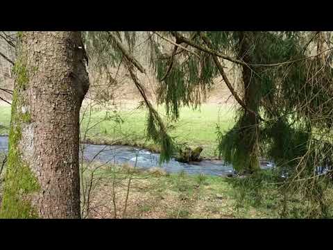 Im Mühlental bei Schollbrunn (Spessart)