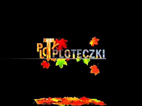 Comes - Ploty i ploteczki