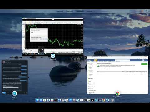 Video Telegram Services