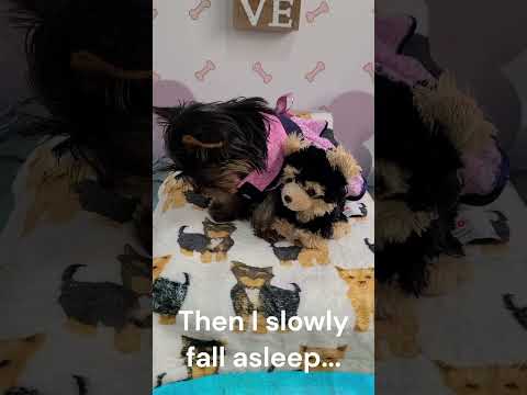 How I get a good night sleep