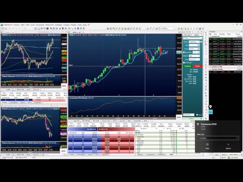 Palinha do Palex - dia 30 janeiro de 2019 - TARDE
