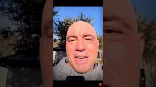 Joe rogan on Neil young