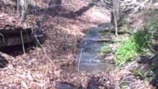 preview picture of video 'Natural Springs and Streams near Table Rock Lake Cape Fair, MO'