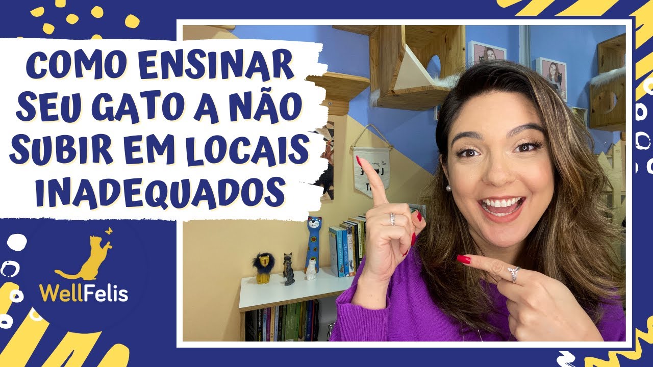 Como ensinar seu gato a não subir em locais inadequados?