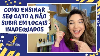 Como ensinar seu gato a não subir em locais inadequados?