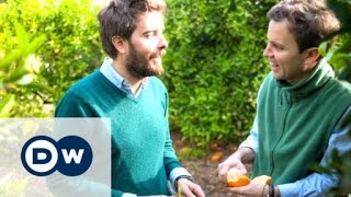 Spanish orange farmers turn to ‘crowdfarming’