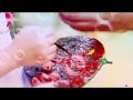 Oliyile Therivathu Thevathaiyaa WhatsApp Status