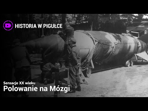 Sensations of the 20th Century - Brain Hunt