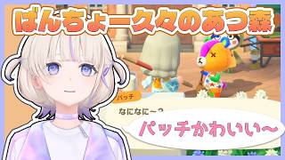 【あつまれどうぶつの森】パッチのことが好きすぎて監禁したい発言をするばんちょー【ホロライブ切り抜き/轟はじめ/ReGLOSS】