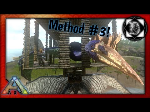 Solo Taming a Quetzal: Method #03/ The Quetzal Platform Trap Method