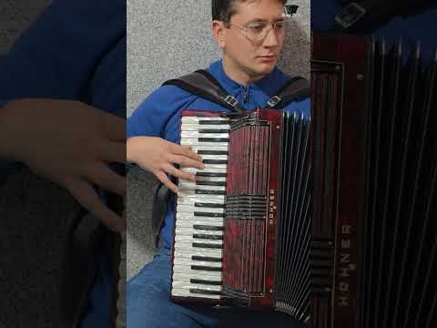 Flavius Niculcea ~ Instrumental ~ Hohner Verdi III bandon