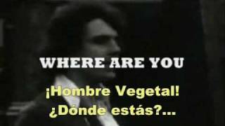Vegetable Man Syd Barrett subtitulado español