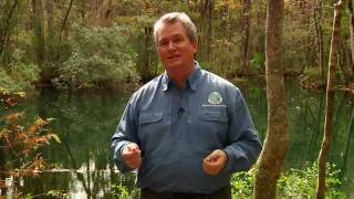 preview picture of video 'Hiking the Florida National Scenic Trail: WFSU dimensions'