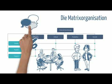 Institut für Online-Lehre - Organisationsformen im Projektmanagement