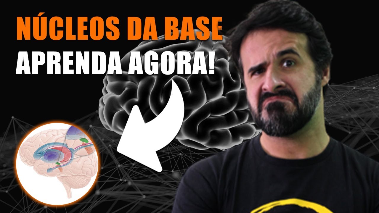 NÚCLEOS DA BASE: A SUA CHANCE DE ENTENDER ESSE ASSUNTO!
