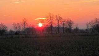 Chase Coy-Love in the Present Tense Lyrics