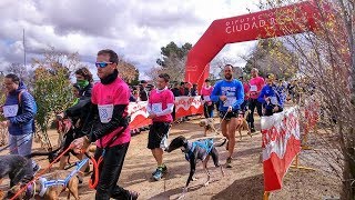 Tercer canicross de Alcázar