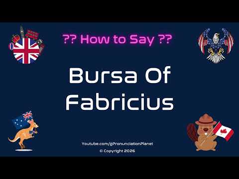 🦉📚 How to Pronounce Bursa Of Fabricius? (CORRECTLY) | Pronunciation Planet